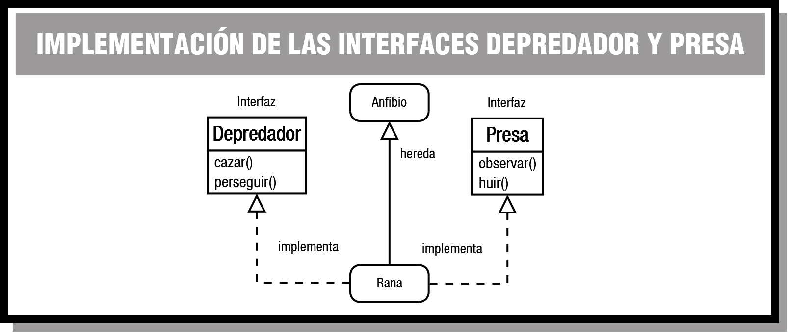 PROG09_CONT_R63_InterfacesMultiplesDepredadorPresa